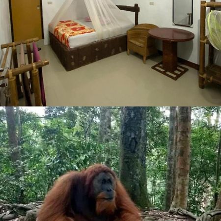 Brown Bamboo Guest House & Trekking Bukit Lawang Eksteriør billede